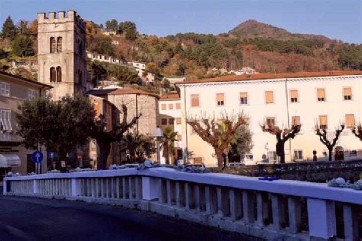 Rose, 24 — Escort in Seravezza, Italy