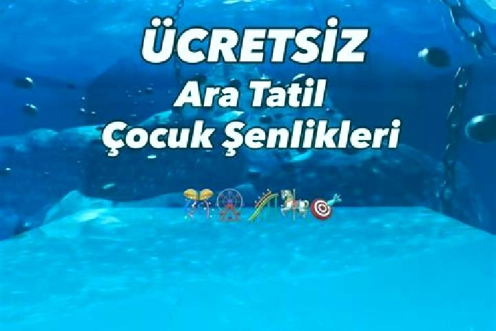Rose, 24 — Escort in Serefiye, Turkey
