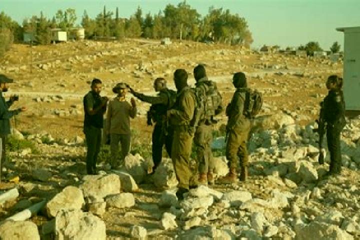 Rose, 24 — Escort in Umm Dar, Palestine