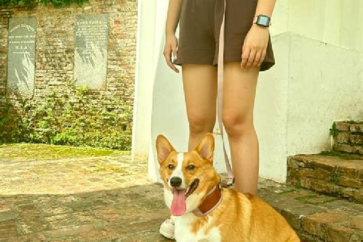 Rose, 24 — Escort in Verkhniye Kigi, Russia