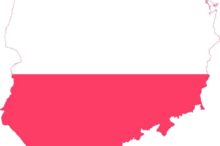 Rose, 24 — Escort in Wegierka, Poland