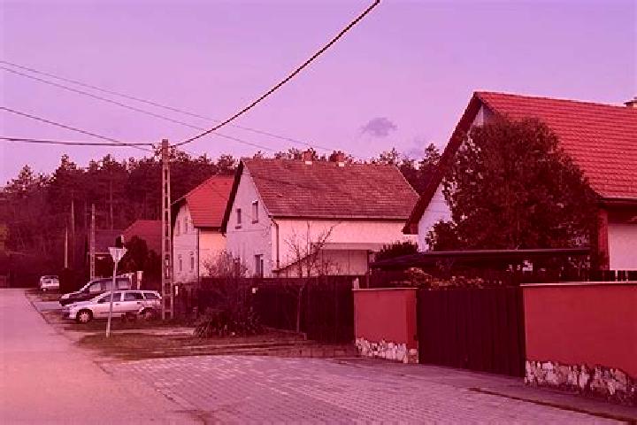 Rose, 24 — Escort in Zichyujfalu, Hungary