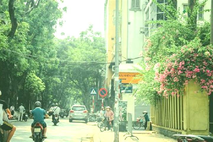 Rose, 25 — Escort in Bac Lung, Vietnam