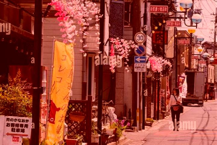 Rose, 25 — Escort in Bungo-Takada-shi, Japan
