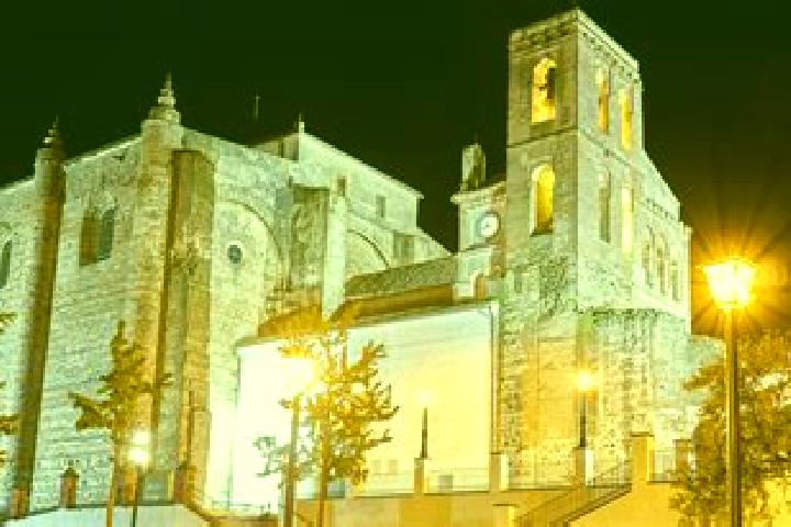 Rose, 25 — Escort in Cazalla de la Sierra, Spain