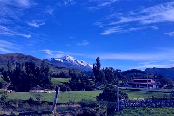 Rose, 25 — Escort in Cuellaje, Ecuador