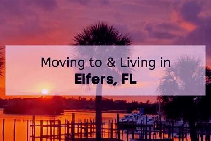 Rose, 25 — Escort in Elfers, United States