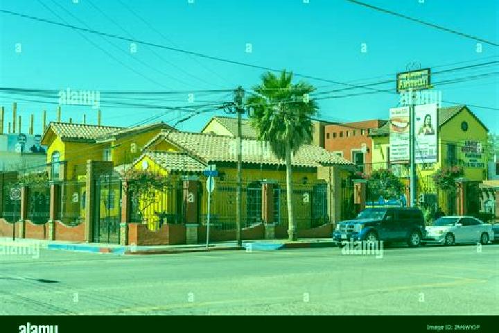 Rose, 25 — Escort in Los Algodones, Mexico