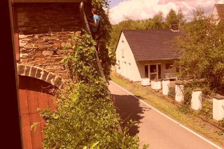 Rose, 25 — Escort in Muenstermaifeld, Germany