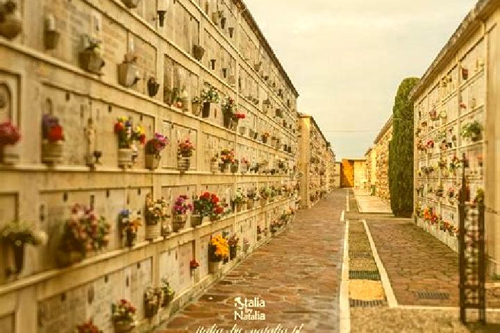 Rose, 25 — Escort in San Michele Mondovi, Italy