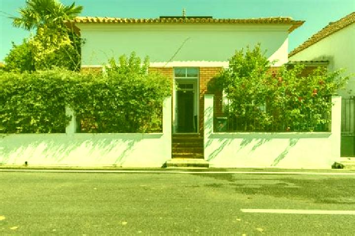 Rose, 25 — Escort in Sangalhos, Portugal