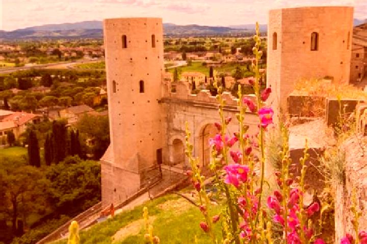 Rose, 25 — Escort in Spello, Italy