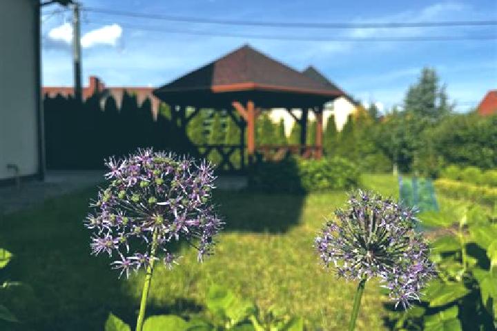 Rose, 25 — Escort in Strzelin, Poland