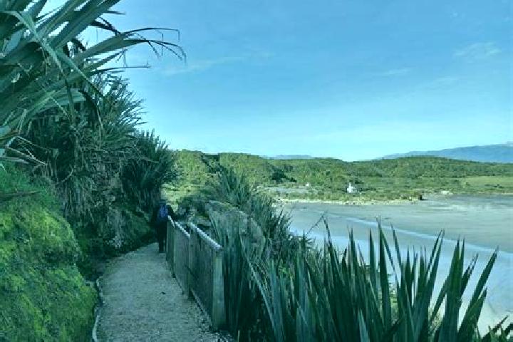 Rose, 25 — Escort in Westport, New Zealand
