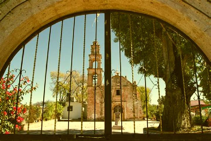 Rose, 26 — Escort in Ejido de Santa Maria Nativitas, Mexico