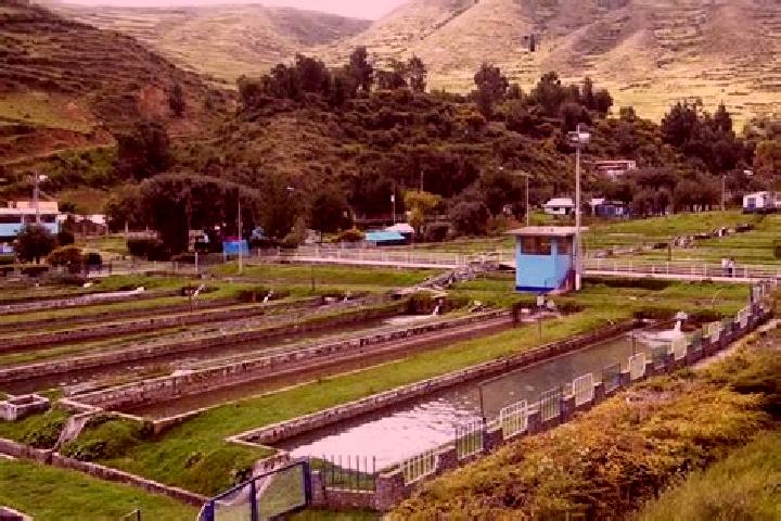 Rose, 26 — Escort in El Ingenio, Peru