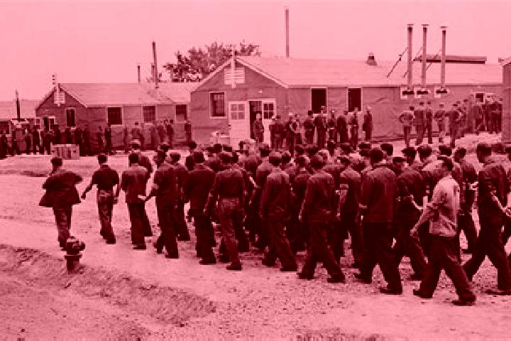Rose, 26 — Escort in Gold Camp, United States