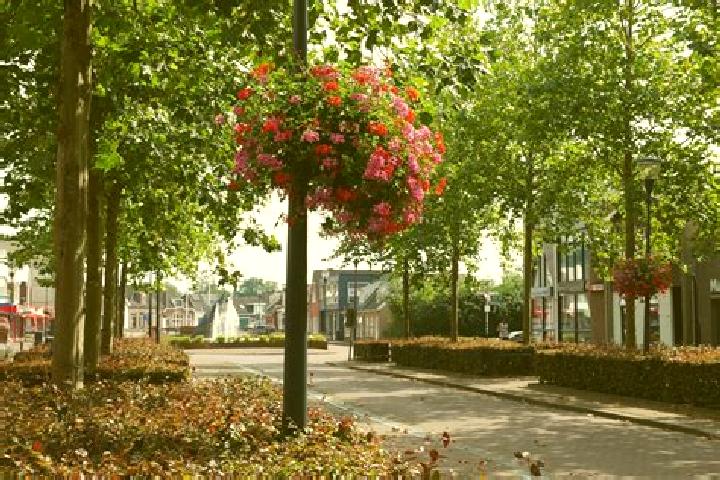 Rose, 26 — Escort in Hoeven, Netherlands