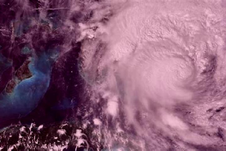Rose, 26 — Escort in Landfall, United States
