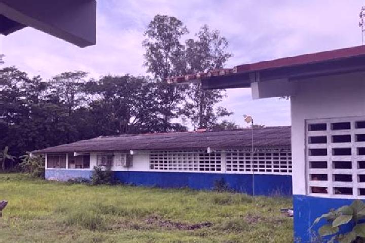Rose, 26 — Escort in Las Guabas, Panama