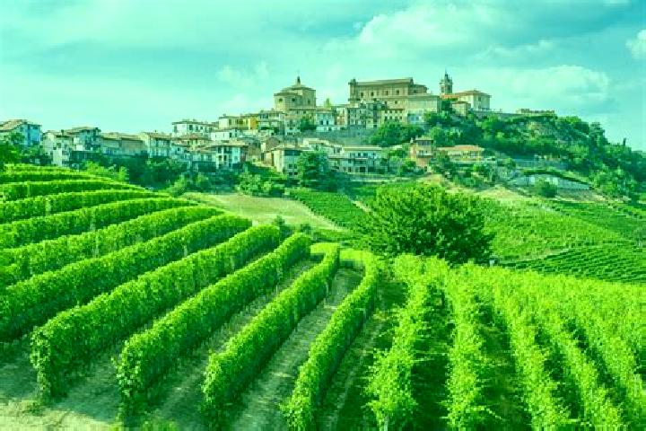 Rose, 26 — Escort in Serravalle Langhe, Italy