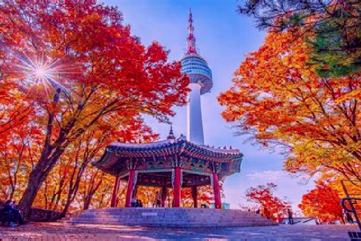 Rose, 26 — Escort in Sindo, North Korea