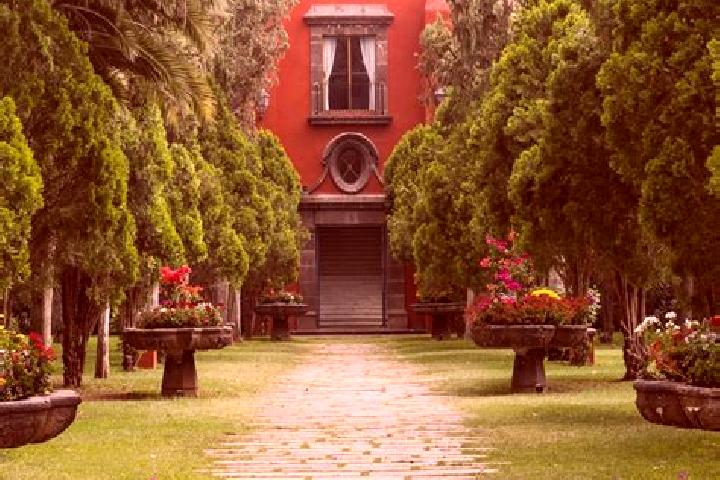 Rose, 26 — Escort in Viborillas, Mexico