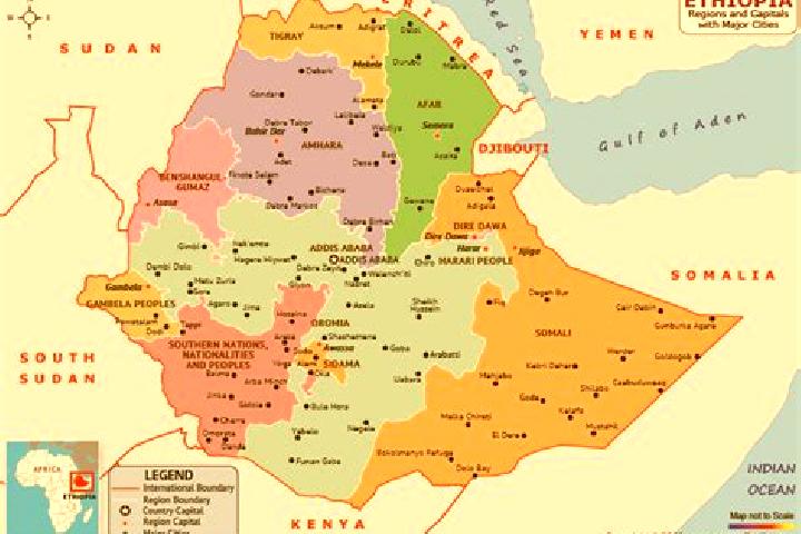 Rose, 26 — Escort in Were Ilu, Ethiopia
