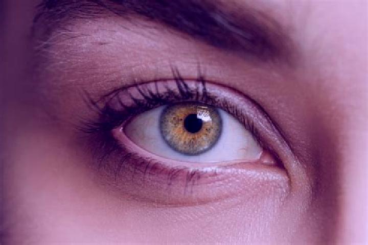 Rose, 27, a chestnut hazel-eyed mixed companion based in Breitenheim. Offering Massage, Overnight, Dinner Date, OWO. Available for incall and outcall, overni...