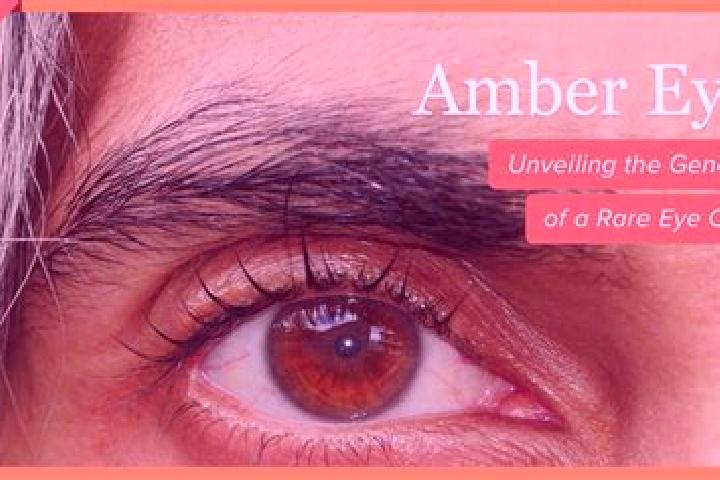 Rose, 27, a red amber-eyed mixed companion based in Espinosa de Henares. Offering Overnight, Striptease, Fetish, Duos. Available for incall and outcall, over...
