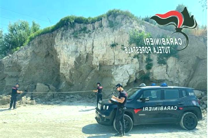 Rose, 27 — Escort in Carpenedolo, Italy
