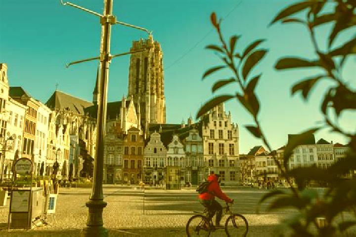 Rose, 27 — Escort in Mechelen-aan-de-Maas, Belgium