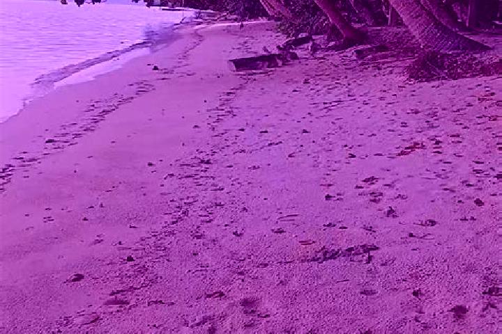 Rose, 27 — Escort in Mengellang, Palau