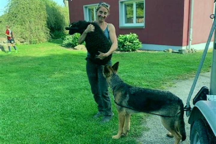 Rose, 27 — Escort in Poseritz, Germany