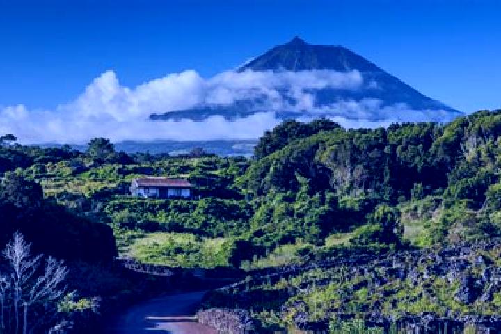 Rose, 27 — Escort in Sao Roque do Pico, Portugal