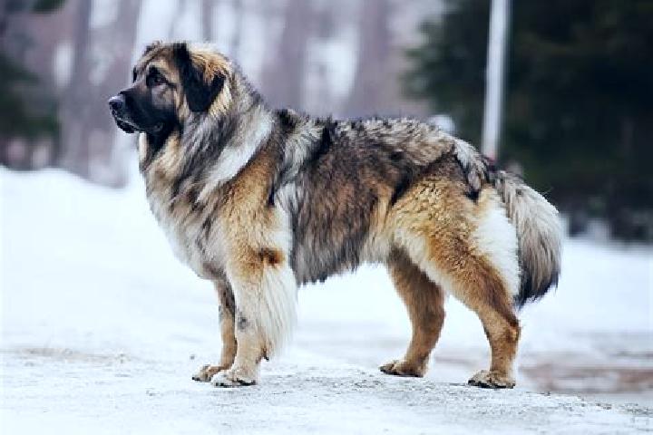 Rose, 28, a black grey-eyed caucasian companion based in Jagistay. Offering Deep French Kissing, Prostate Massage, Travel Companion, OWO, Duos. Available for...