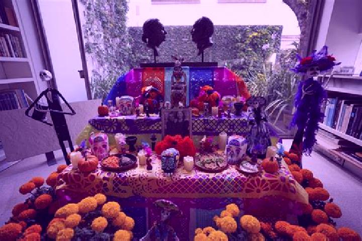 Rose, 28 — Escort in Altar, Mexico