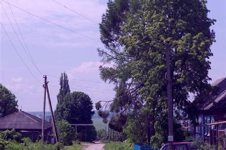 Rose, 28 — Escort in Chekalin, Russia