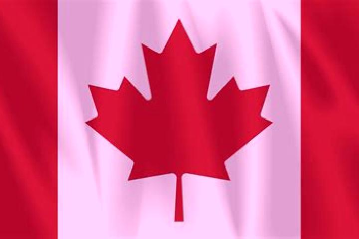 Rose, 28 — Escort in Maple Leaf, Canada