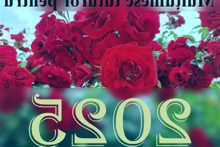 Rose, 28 — Escort in Piscuri, Romania