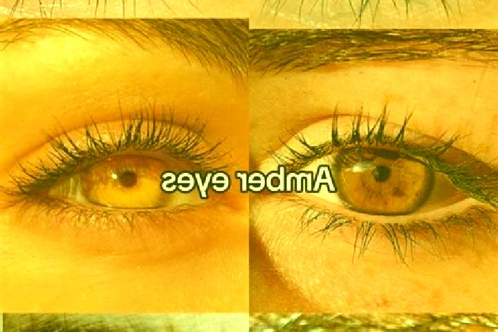 Rose, 29, a chestnut amber-eyed european companion based in Shifo. Offering Massage, OWO, A-Level, Fetish, Dinner Date. Available for incall and outcall, ove...