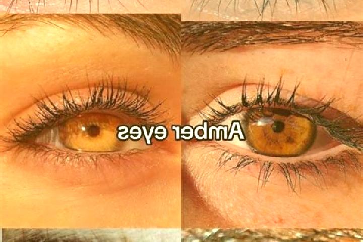 Rose, 29, a chestnut amber-eyed mediterranean companion based in Birdsall. Offering Domination, GFE, Roleplay, OWO. Available for incall and outcall, day and...