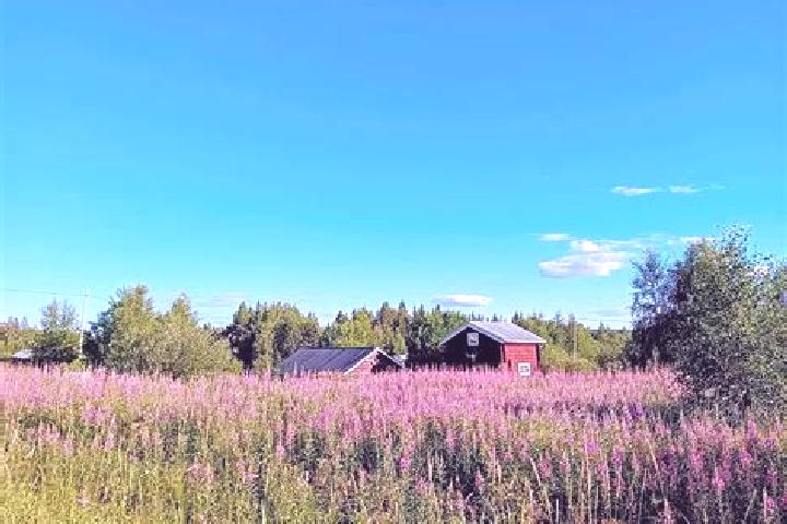 Rose, 29 — Escort in Asele, Sweden