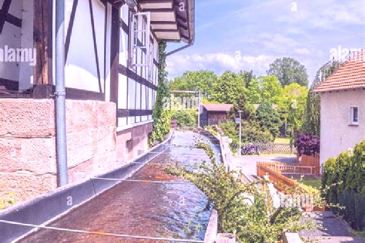 Rose, 29 — Escort in Ebergoetzen, Germany