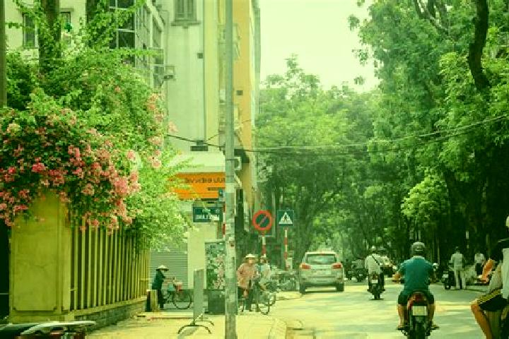 Rose, 29 — Escort in GJak Mam, Vietnam