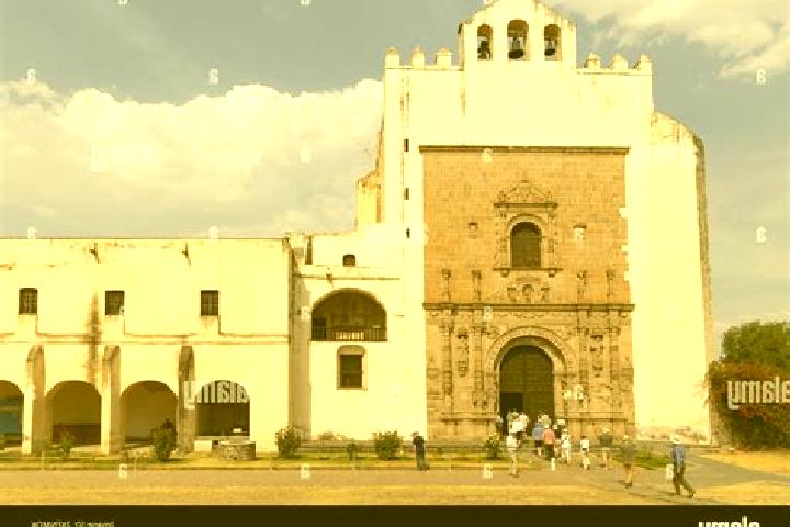 Rose, 29 — Escort in Los Organos de San Agustin, Mexico