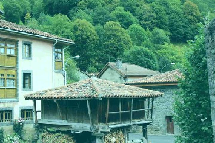 Rose, 29 — Escort in Oseja de Sajambre, Spain
