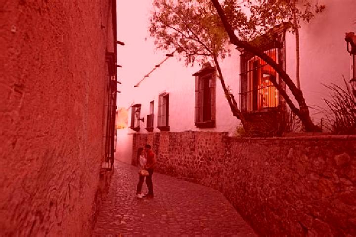 Rose, 29 — Escort in Paso de Hidalgo (Paso de Alamos), Mexico