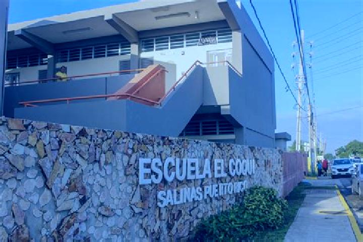 Rose, 29 — Escort in Potala Pastillo, Puerto Rico
