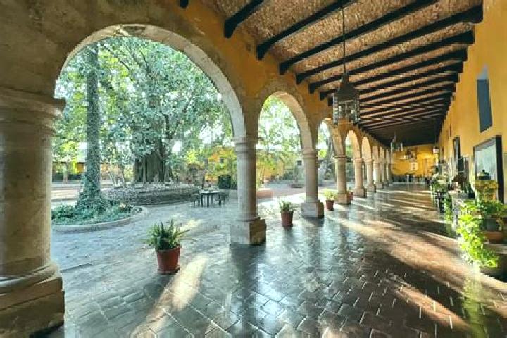 Rose, 29 — Escort in Rincones de la Hacienda, Mexico